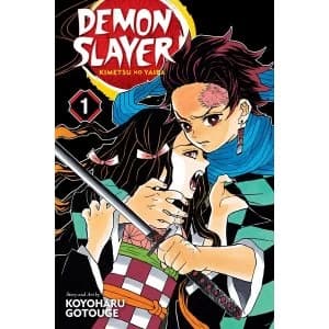 Demon Slayer Kimetsu no Yaiba Volume 1 Manga