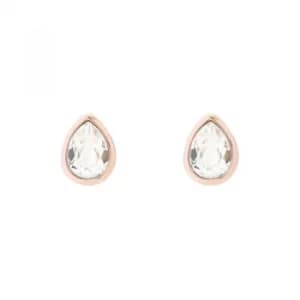 Ted Baker Ladies Cirosar Crystal Peardrop Stud Earring