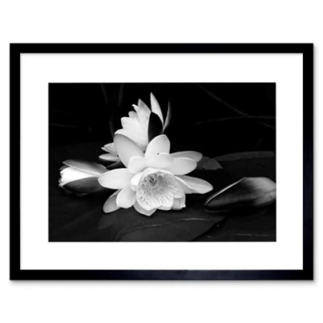 Artery8 White Lotus Flower Bloom Black Photo Home Decor 12X16" Framed Wall Art Print