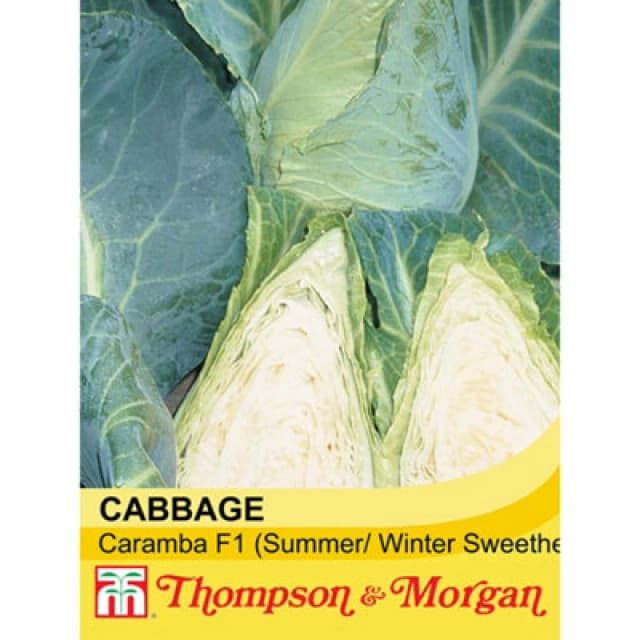 Thompson & Morgan Cabbage Caramba F1 Hybrid 1 Seed Packet (30 Seeds)