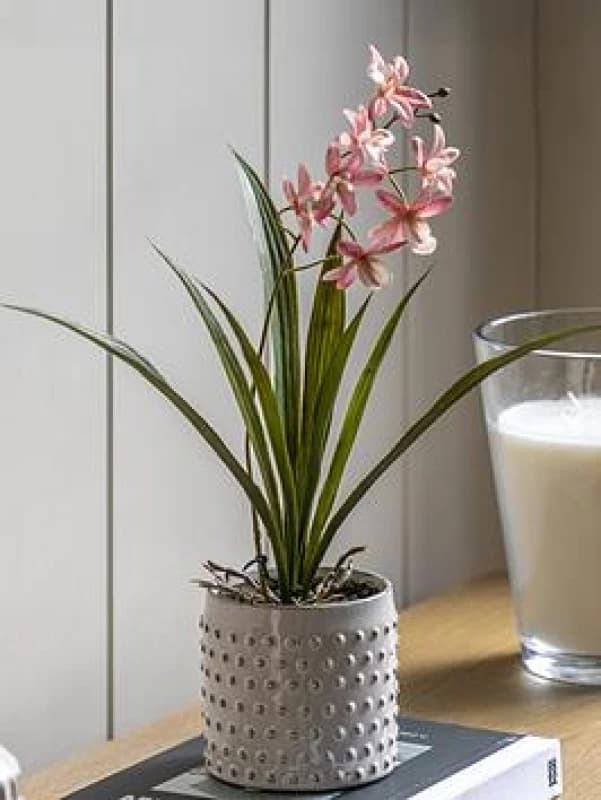 Crossland Grove Orchid Pink in White Ceramic Dot Pot 400mm, White 5056693592631