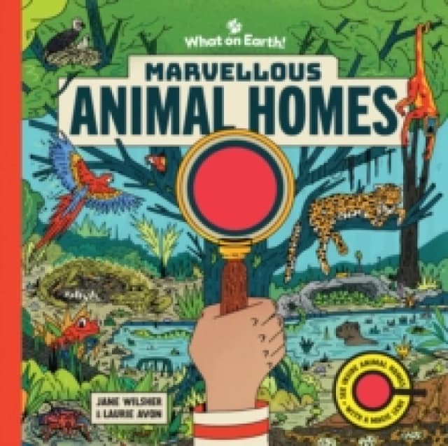 Marvellous Animal Homes : A Magic Lens Book Hardback