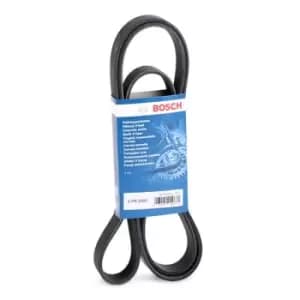 Bosch V-ribbed belt 1 987 947 556 Serpentine belt,Auxiliary belt OPEL,RENAULT,TOYOTA,Movano Kastenwagen (X70),Movano Bus (X70)