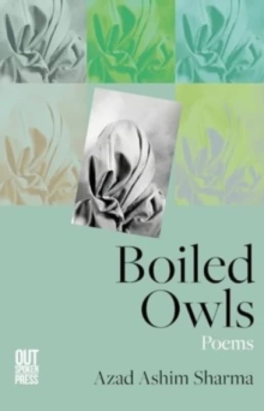 Boiled Owls Paperback / softback