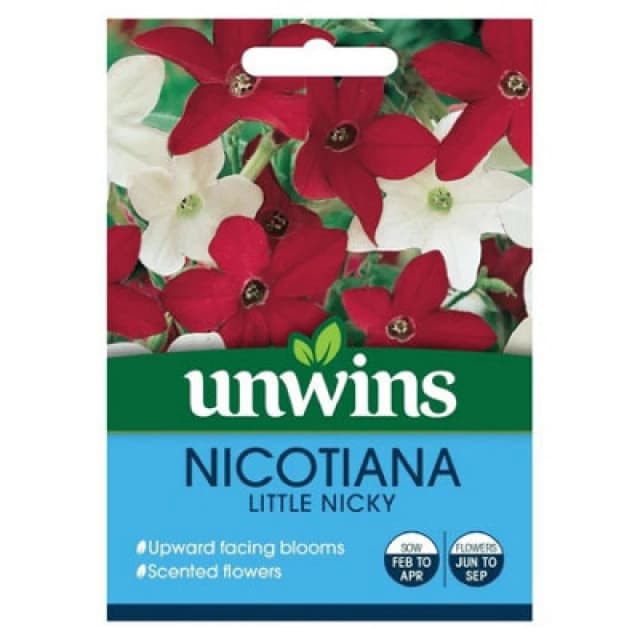 Unwins Nicotiana Little Nicky