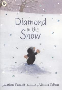 Diamond in the Snow by Jonathan Emmett and Vanessa Cabban Paperback