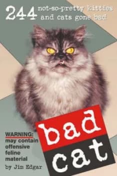 Bad Cat by Jim Edgar Paperback
