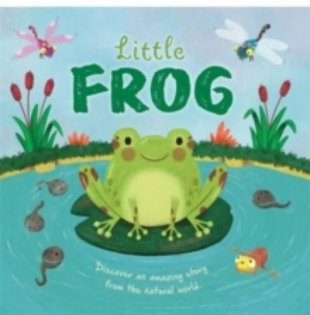 Little Frog Hardback