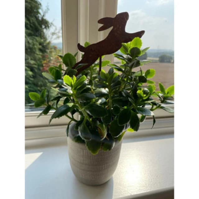 Poppy Forge Running Hare Pot Stake (Pack Of 3) - Bare Metal/ready To Rust - H10 Cm