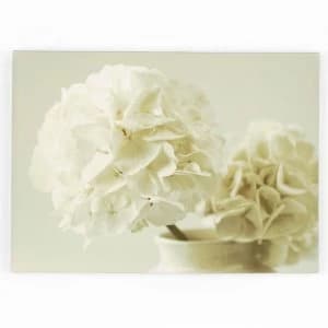 Graham and Brown Tranquillity Wall Art