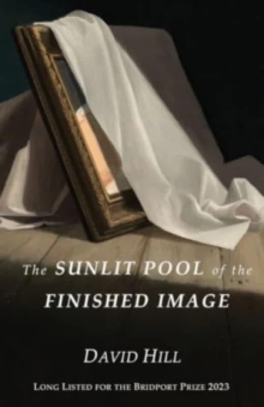 The Sunlit Pool of the Finished Image Paperback / softback