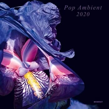 Various Artists - Pop Ambient 2020 Vinyl