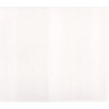 Ani DiFranco - Allergic to Water CD