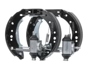 Bosch Brake Set, drum brakes with wheel brake cylinder 0 204 114 675 RENAULT,CLIO II (BB0/1/2_, CB0/1/2_),TWINGO II (CN0_)