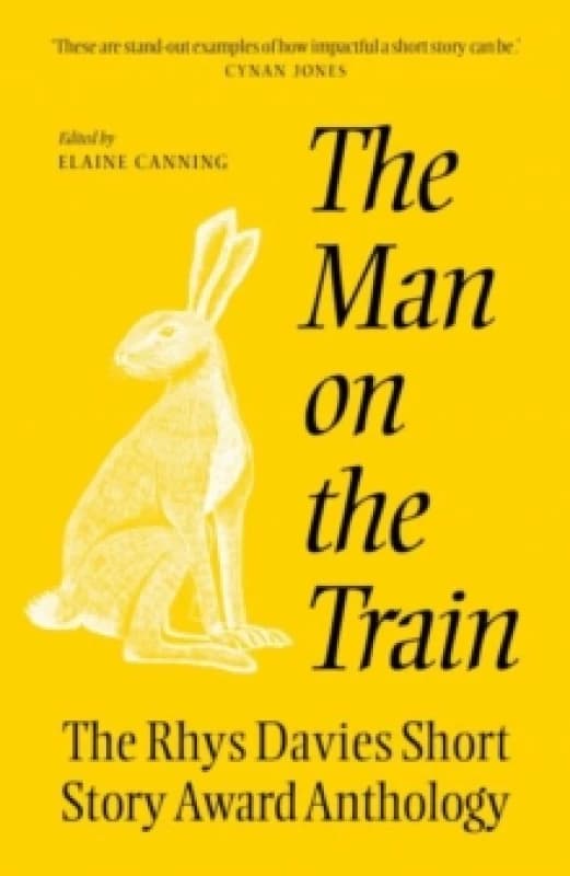 The The Man on the Train : The Rhys Davies Short Story Competition Anthology Paperback / softback