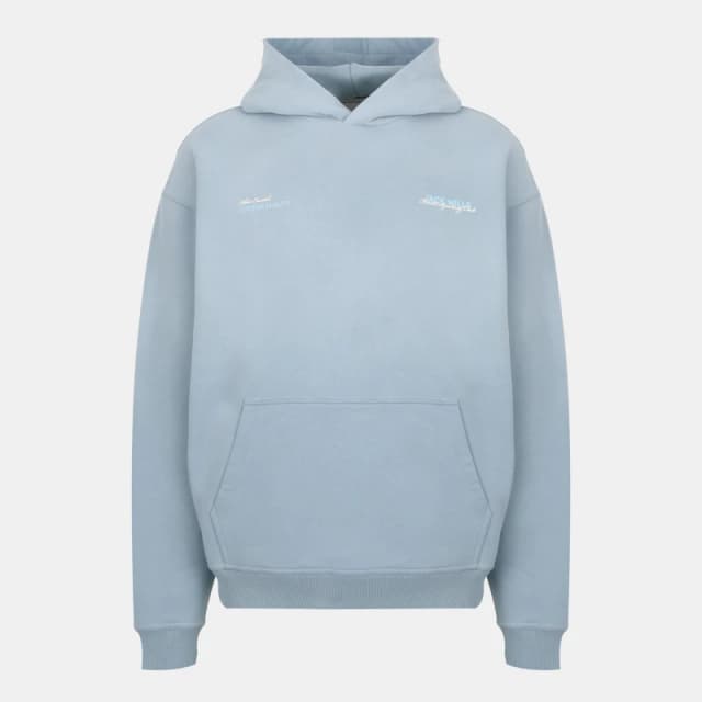 Jack Wills Mens JW Established Hoodie Storm Cloud male S