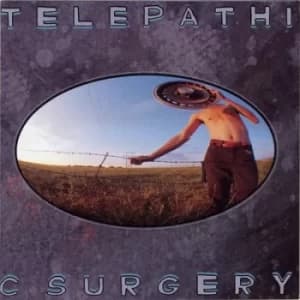 Telepathic Surgery by The Flaming Lips Vinyl Album