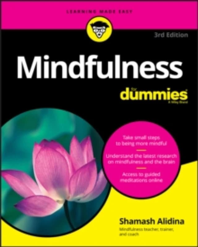 Mindfulness. Paperback. By Shamash Alidina Books