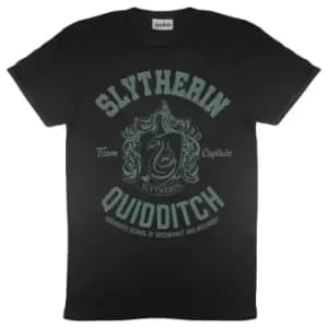 Harry Potter Womens/Ladies Slytherin Quidditch Boyfriend T-Shirt (M) (Black)