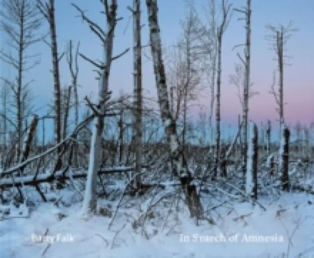 In Search of Amnesia Hardback