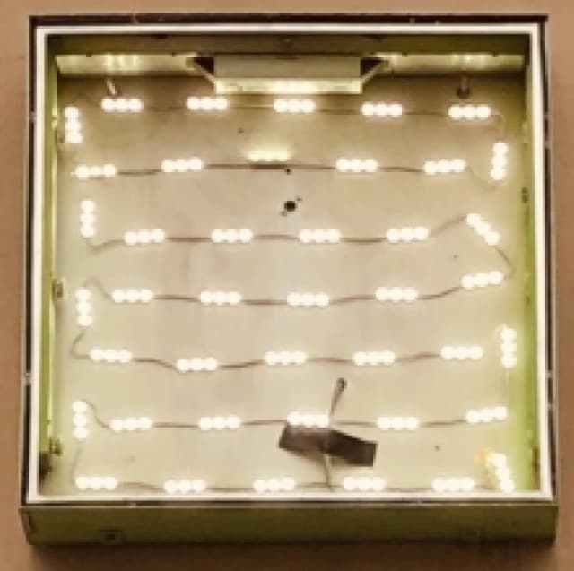 Basking in the Glow CD / Album