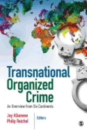 transnational organized crime an overview from six continents jay s albanes
