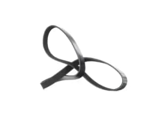 DAYCO V-ribbed belt 6PK1180 Serpentine belt,Auxiliary belt VW,BMW,OPEL,POLO (9N_),Transporter V Bus (7HB, 7HJ, 7EB, 7EJ, 7EF, 7EG, 7HF, 7EC)