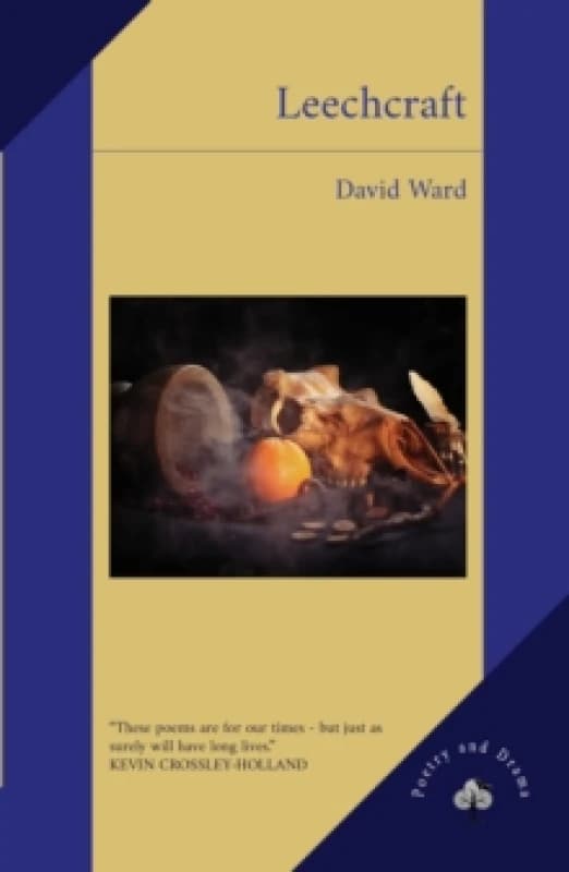 Leechcraft Paperback / softback