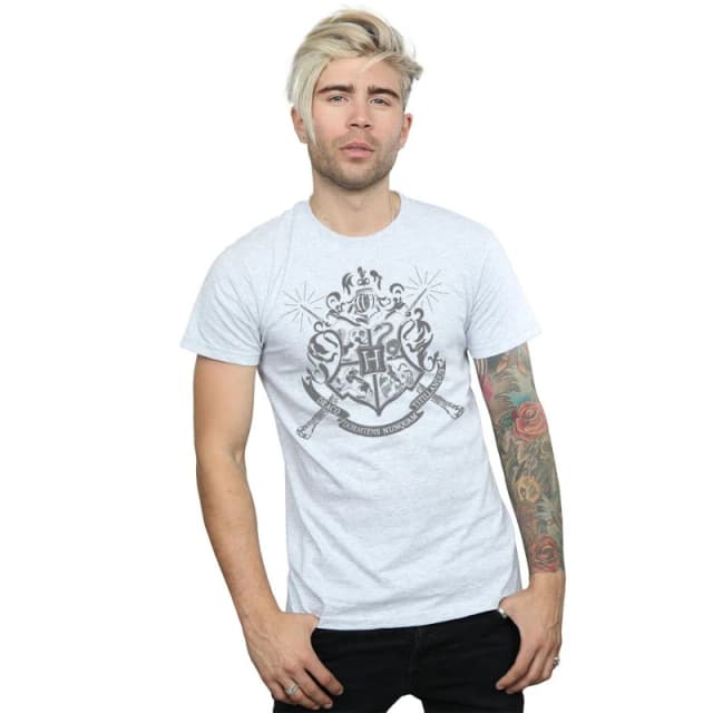 Harry Potter Mens Hogwarts Houses Cotton T-Shirt in Grey Size: Small Grey Male S