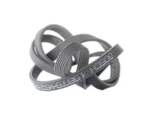 Bosch V-ribbed belt 1 987 946 216 Serpentine belt,Auxiliary belt BMW,3 Touring (E91),3 Limousine (E90),5 Limousine (E60),5 Touring (E61)