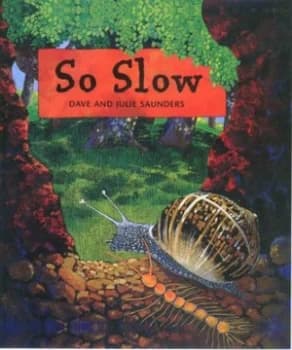 So Slow by Julie Saunders Paperback