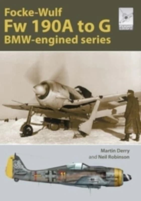 Flight Craft Special 2: The Focke-Wulf Fw 190 : The A-G Series Paperback / softback
