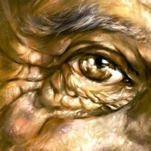 Beneath Our Humble Soil by The Willows CD Album