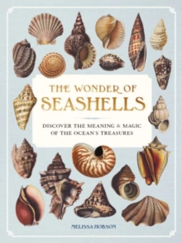 The Wonder of Seashells : Discover the Meaning & Magic of the Oceans Treasures Hardback