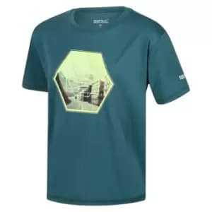 Regatta Alvarado VI T-Shirt - Green