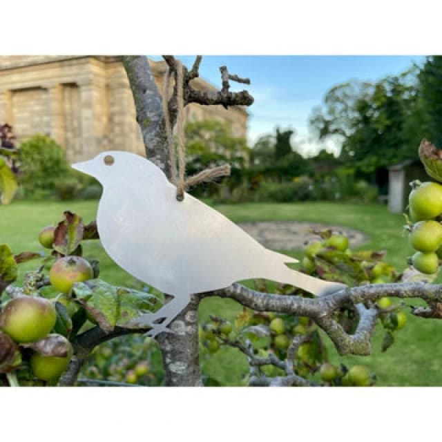 Poppy Forge Hanging Finch Garden Art (Pack Of 3) - Bare Metal/ready To Rust - W20 X H13 Cm