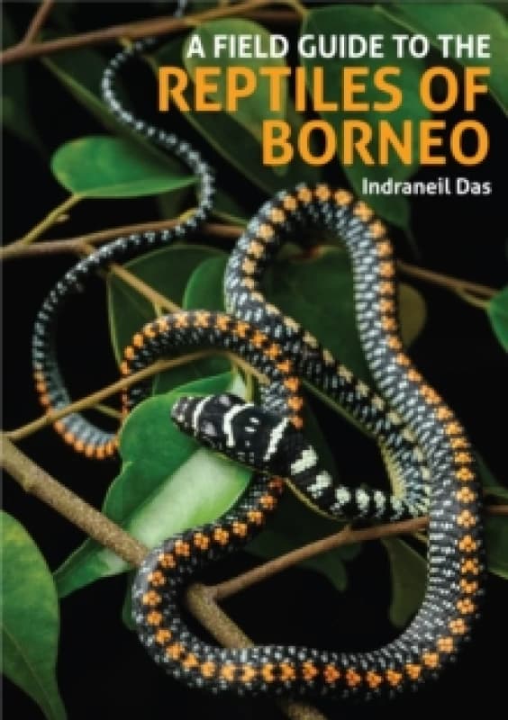 A Field Guide to the Reptiles of Borneo Hardback