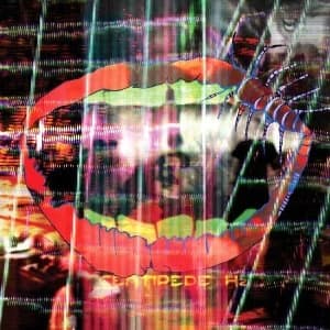 Animal Collective - Centipede Hz Vinyl