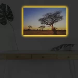 4570DHDACT-090 Multicolor Decorative LED Lighted Canvas Painting
