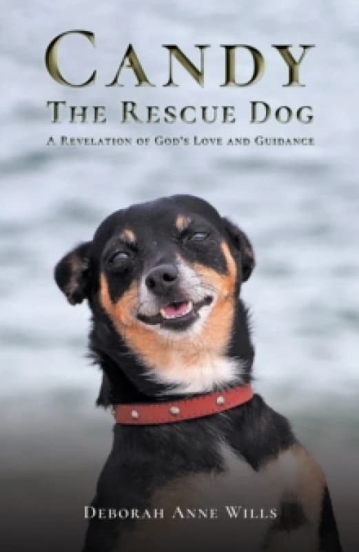 Candy the Rescue Dog. Paperback. By Deborah Anne Wills Books