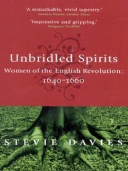 Unbridled Spirits by Stevie Davies Paperback