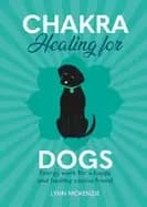 chakra healing for dogs energy work for a happy and healthy canine friend