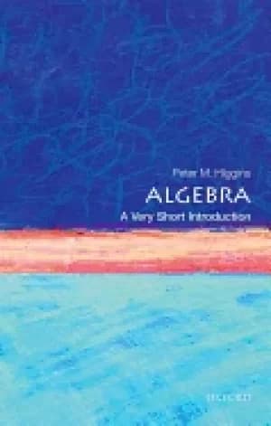 algebra a very short introduction