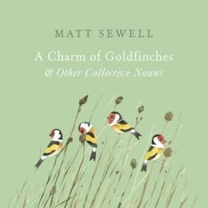 A Charm of Goldfinches and Other Collective Nouns by Matt Sewell Hardback