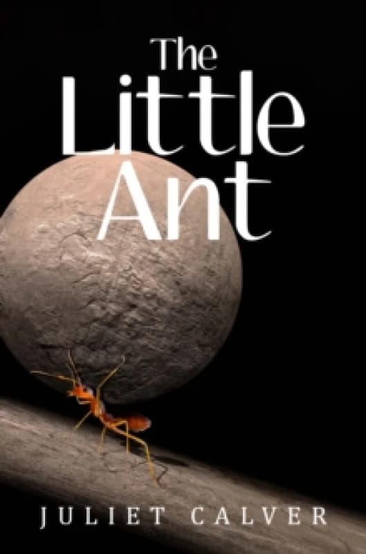 The Little Ant Paperback / softback