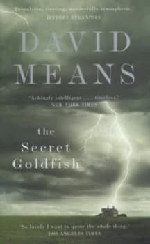 The Secret Goldfish by David Means Hardback