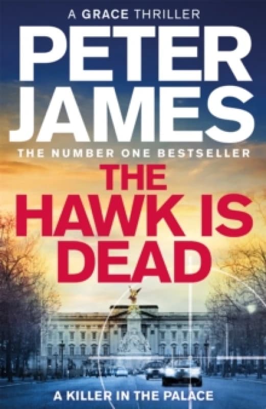 The Hawk Is Dead Hardback