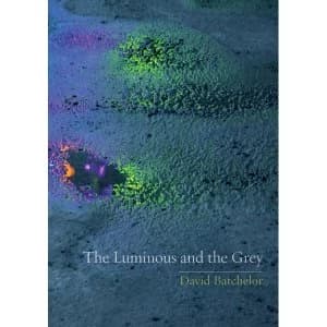 The Luminous and the Grey by David Batchelor (Paperback, 2014)