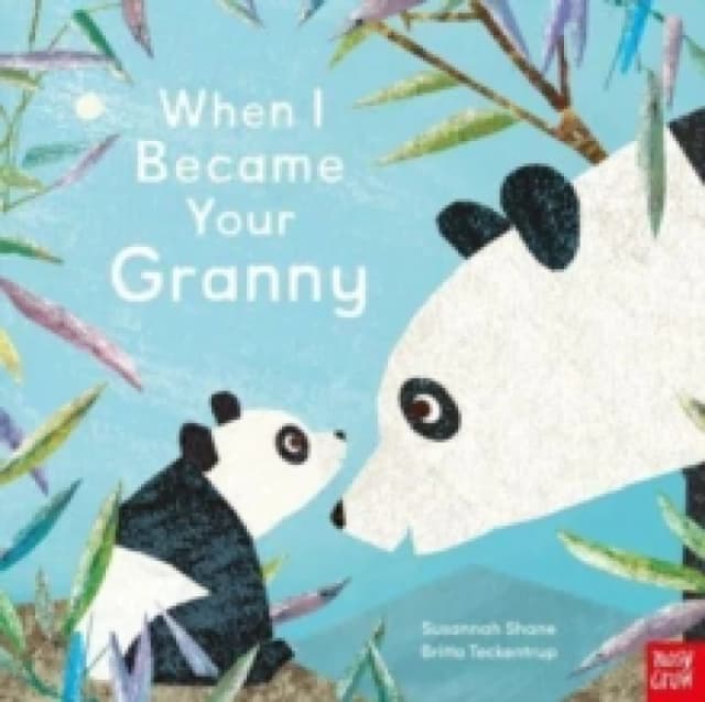 When I Became Your Granny Paperback / softback