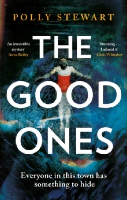 The Good Ones : A gripping page-turner about a missing woman and dark secrets in a small town Paperback / softback